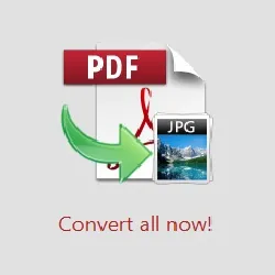 TriSun PDF JPG License